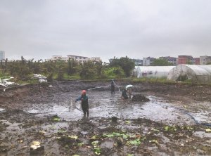 凌河河道鱼塘清淤